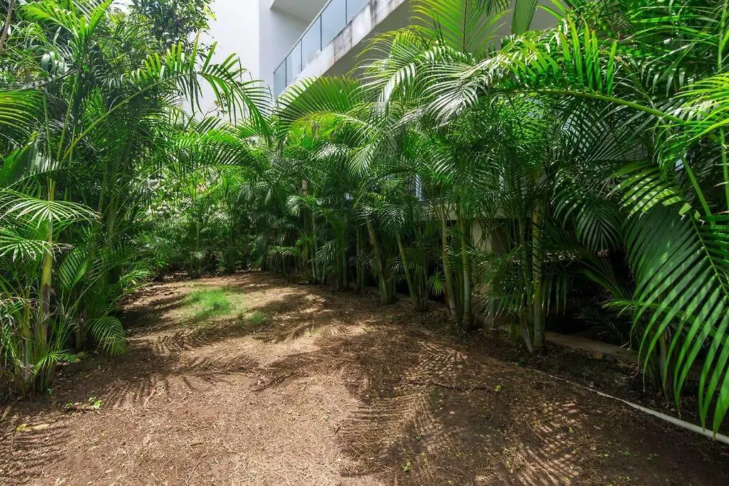 Akumal Oasis Walk To Beach 7 Rooftop Pools With Ocean Views Apartment