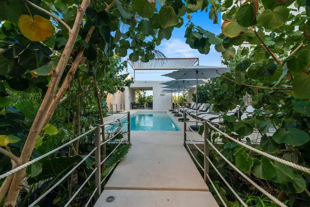 Akumal Oasis Walk To Beach 7 Rooftop Pools With Ocean Views Apartment