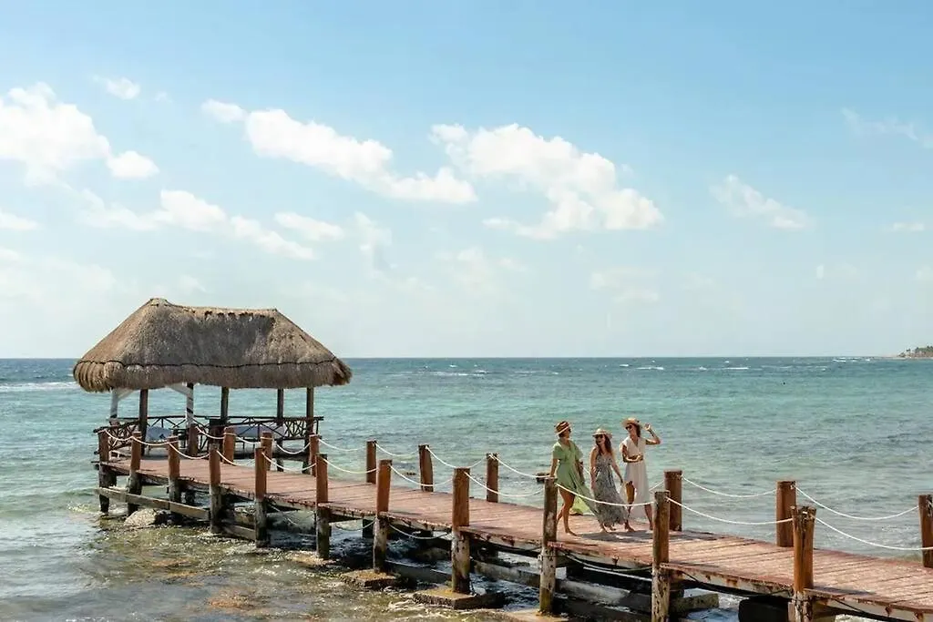 Apartment Akumal Oasis Walk To Beach 7 Rooftop Pools With Ocean Views