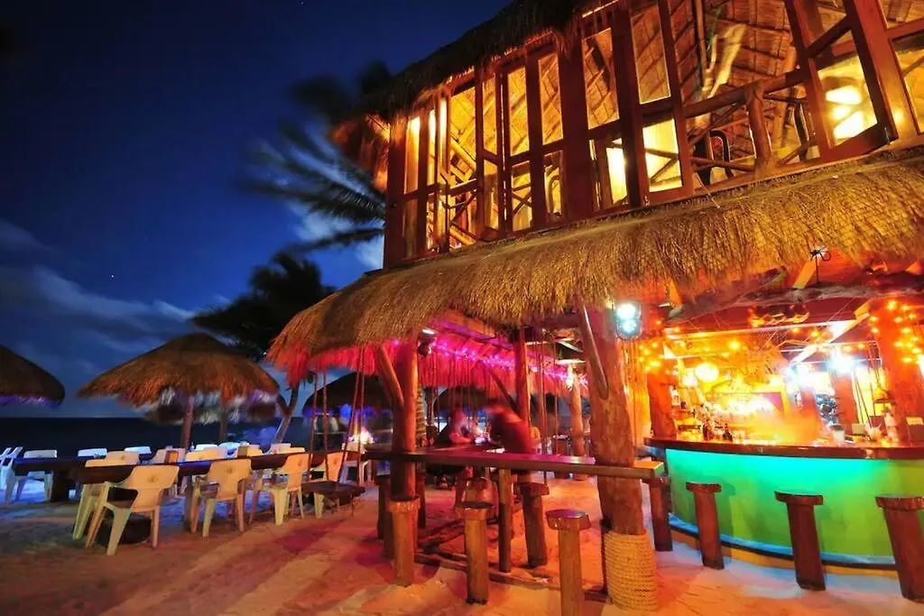 Akumal Oasis Walk To Beach 7 Rooftop Pools With Ocean Views